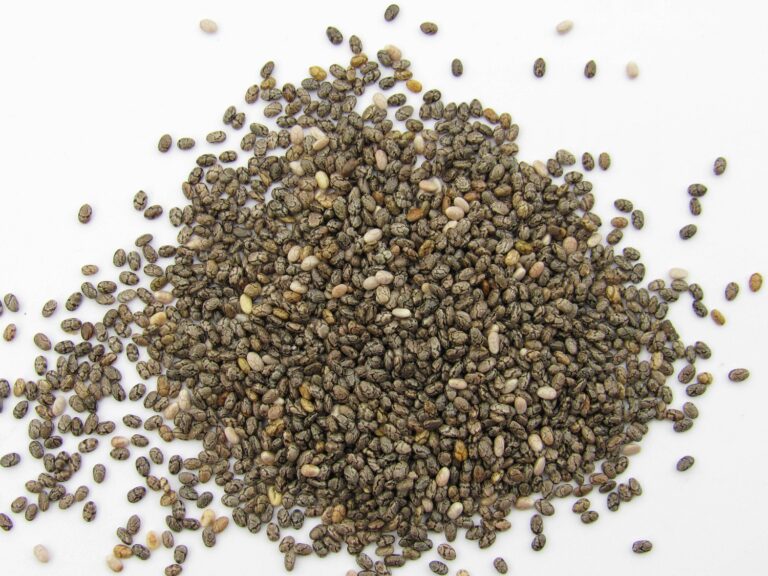 Health Benefits of Chia Seeds