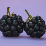 15 Health Benefits of Blackberries : Mohit Tandon Chicago