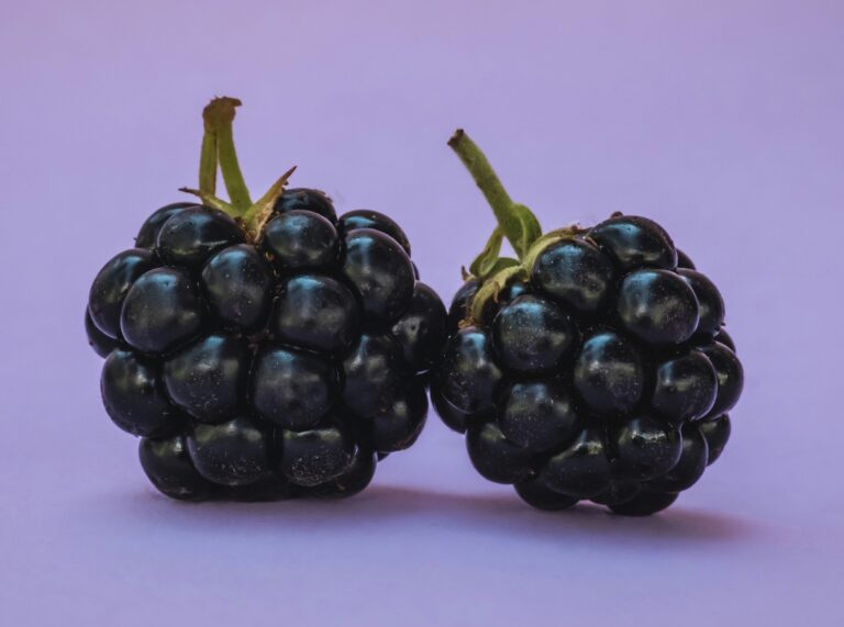 15 Health Benefits of Blackberries : Mohit Tandon Chicago