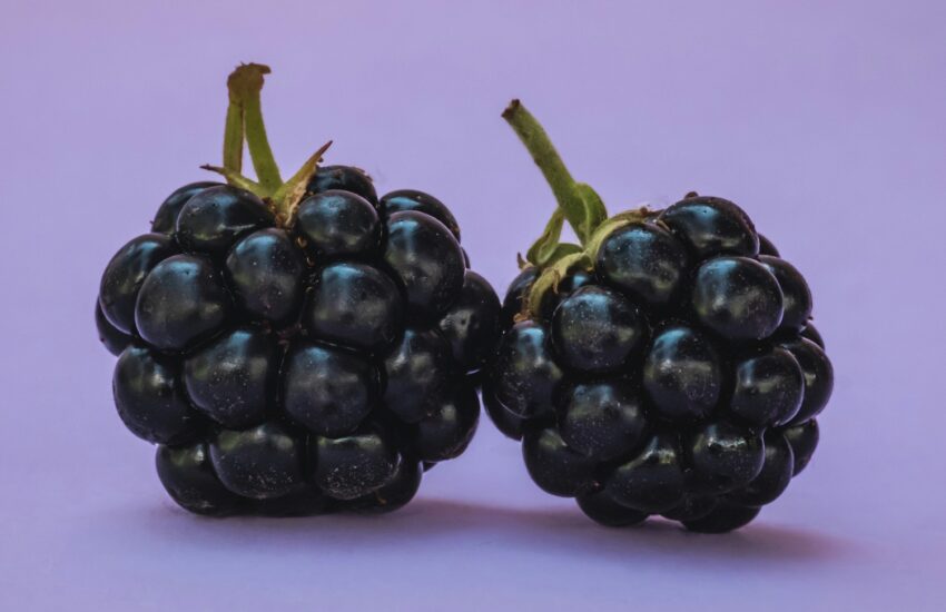 15 Health Benefits of Blackberries : Mohit Tandon Chicago